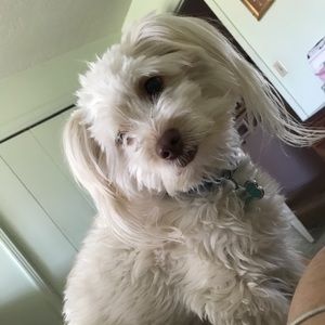 Meet your Posher, Sonia